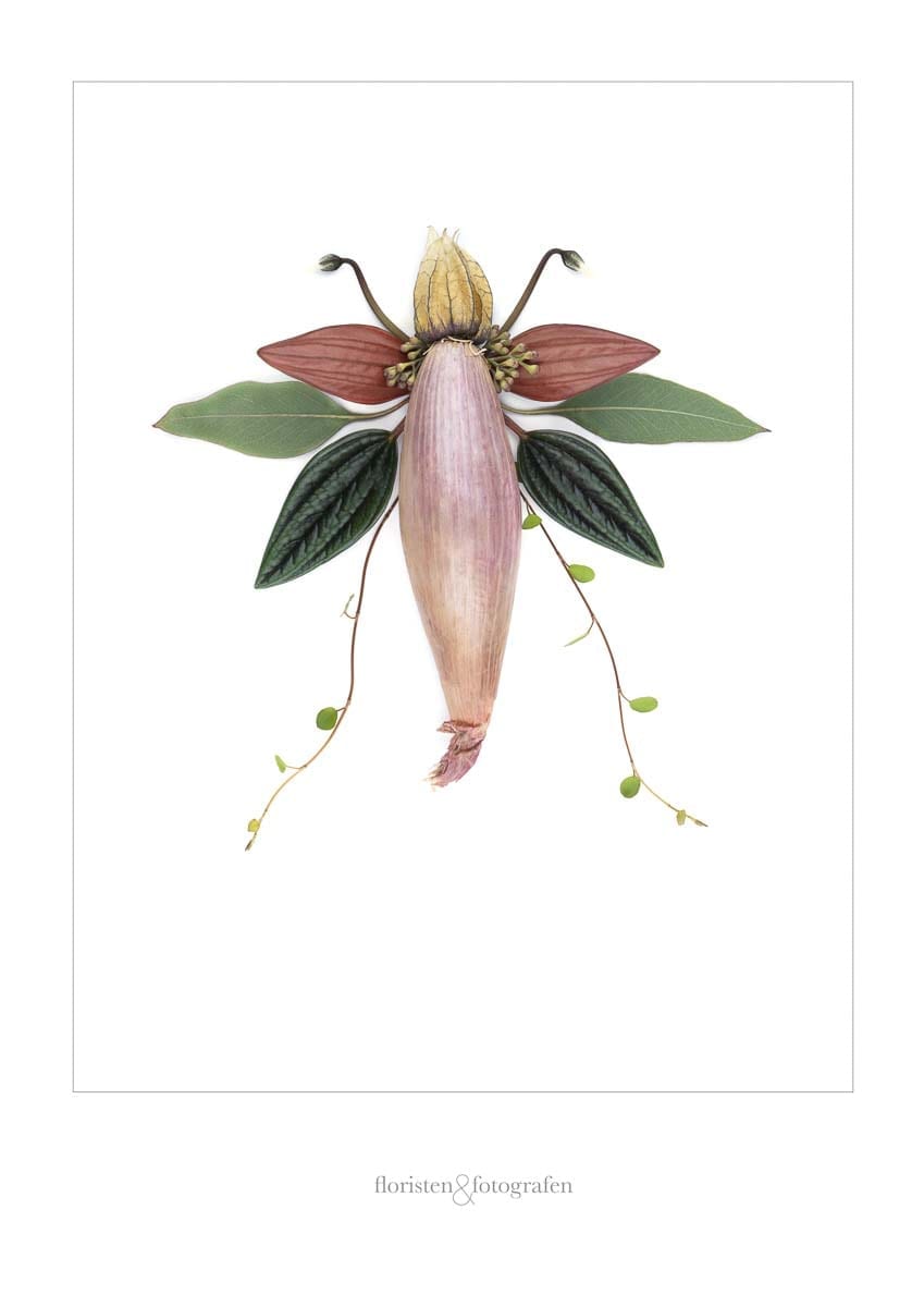 Poster 40x60 cm